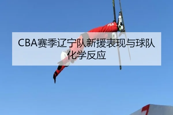 CBA赛季辽宁队新援表现与球队化学反应